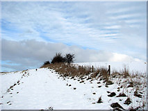 TG2404 : Approaching Caistor St Edmund chalk pit by Evelyn Simak