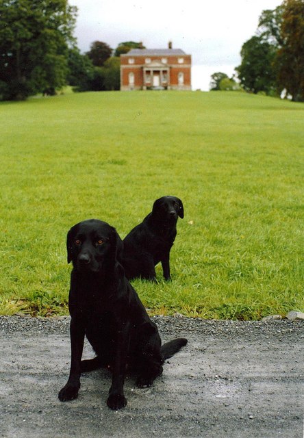 Bellamont House and its two guardians