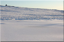 HP5904 : Frozen pool west of Sobul by Mike Pennington
