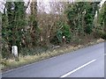 Milestone near Spetisbury