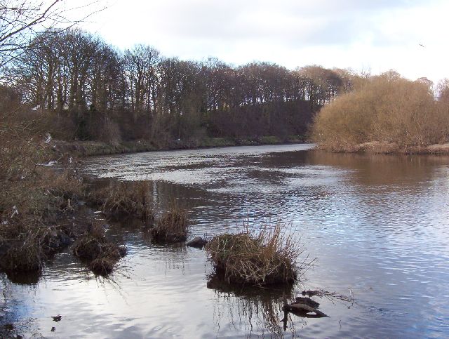 Island on the Clyde © Robert Murray cc-by-sa/2.0 :: Geograph Britain ...