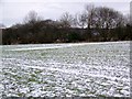 Arable field, Sturminster Marshall