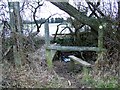 Double stile near Sturminster Marshall