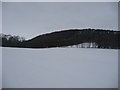 SJ6308 : Empty white snowfields beneath the Wrekin by Jeremy Bolwell