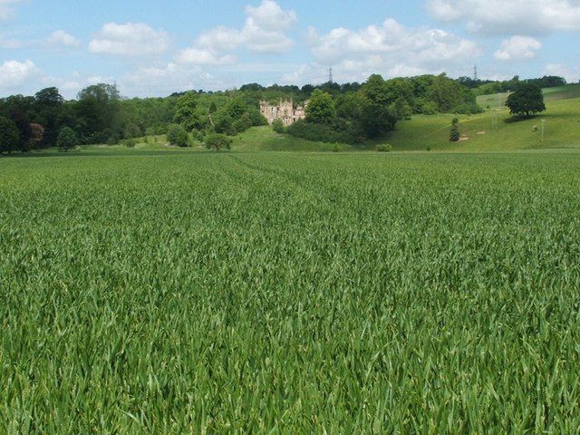 Field near Cambusnethan House