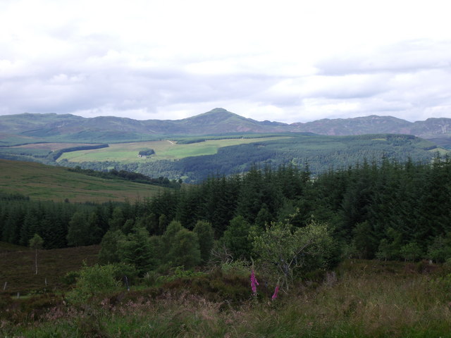 Tay Forest Park with Farragon Hill