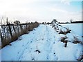 Footpath to Neasham Springs