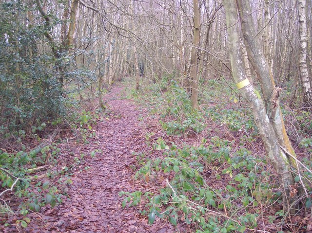 Footpath in open land near Hook Green