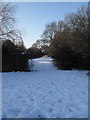 Snowy meadow between the Hermitage and Ellisfield Road