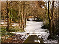 Bournemouth: heading into Horseshoe Common after snow