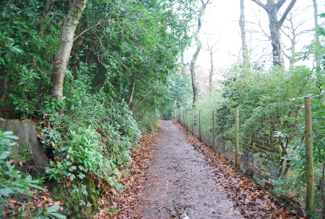 Track to West Porlock, The Parks