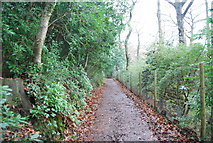 SS8746 : Track to West Porlock, The Parks by N Chadwick