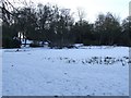 Frozen pond in Queens Park