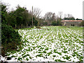 View to Vine Farm outbuildings from footpath