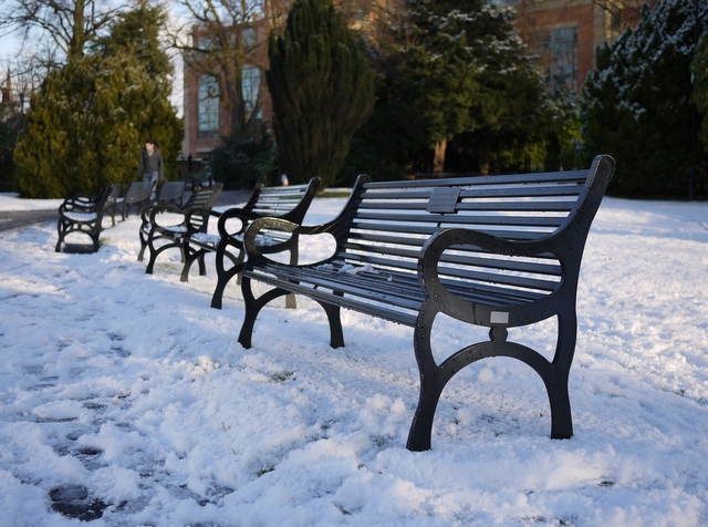 Benches in the snow, Botanic Gardens