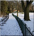 J3372 : Snow, Botanic Gardens by Rossographer