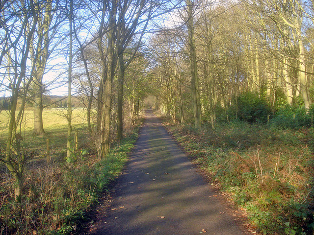 Long distance footpath at Abbey Wood