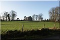 Farnell Kirk