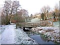 Footbridge in Springfield Park