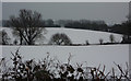 Snow covered fields