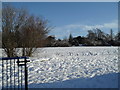 Snowy playfields at Front Lawn schools