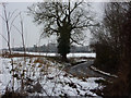 Lane corner near Flowton Brook