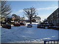 A snowy scene in Langrish Close