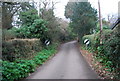 Luccombe Lane