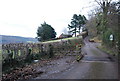 Cattle Grid, Luccombe Lane