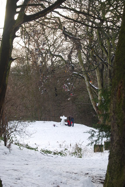 Shoe Tree, Armstong Park