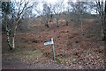 Bridleway Signpost, Luccombe Lane