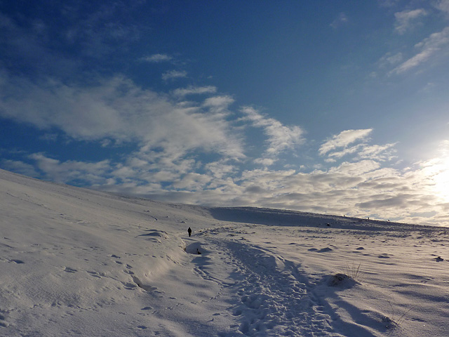 Snow-covered path to Allermuir