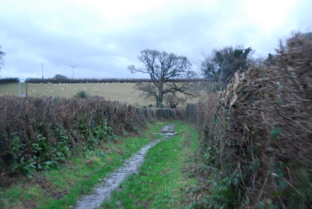 Watery Lane, West Luccombe
