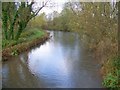 ST9539 : River Wylye, Boyton by Maigheach-gheal