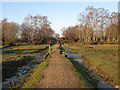 Bridge on Butts lawn