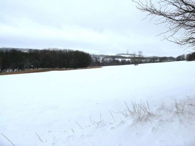 View north across field from near Dale Park House