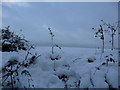 Tiverton : Snowy Field