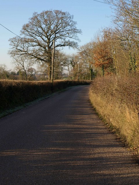 Oilmill Lane