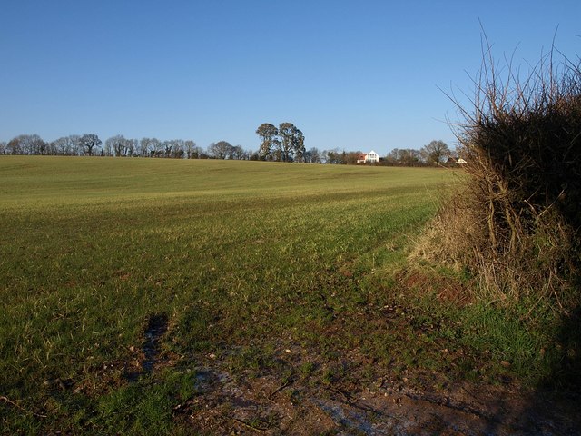 Field at Greendale