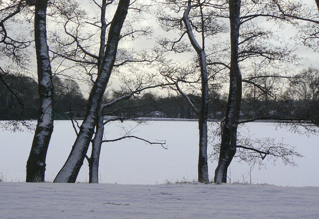 Wollaton Park lake
