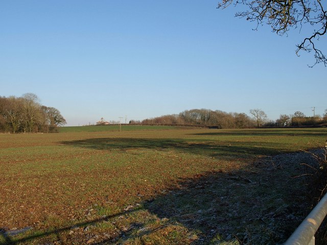 Field near Woodbury Salterton (2)