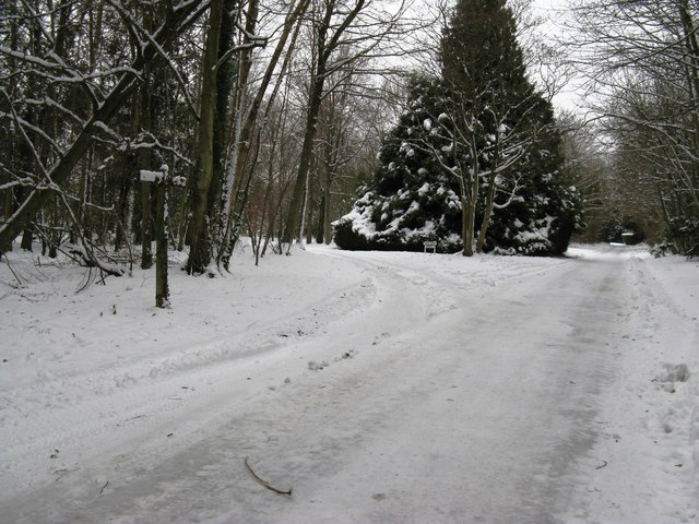 Road and footpath through Dale Park