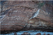 ST0643 : Fault in the cliff, Warren Bay by N Chadwick