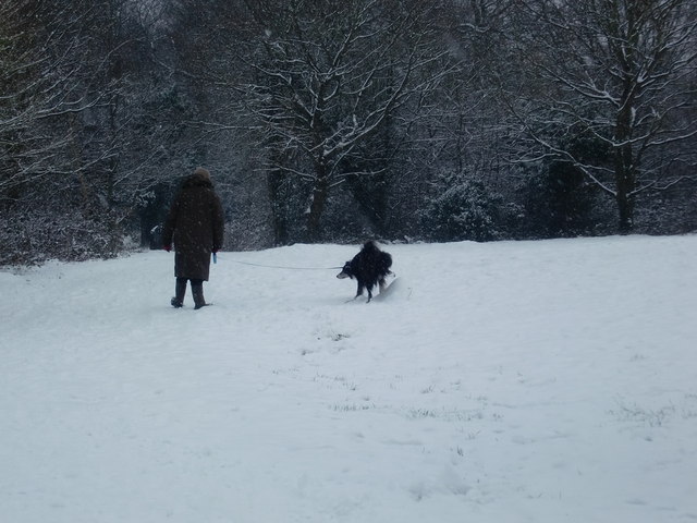 Walking the dog, Oakwood Park, London N14