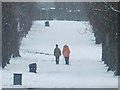 Snowy walk, Oakwood Park, London N14