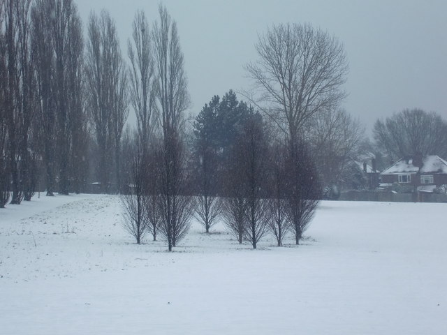 Oakwood Park in the snow, London N14