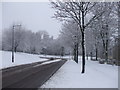 Junction of Llanedeyrn Drive and Circle Way East, Cardiff