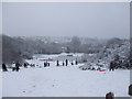 Sledging slope off Circle Way, Cardiff