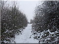 Footpath sandwiched  between Circle Way and Eastern Ave, Cardiff