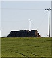 Wrapped hay bales, Kentsford Farm